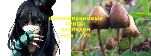 PSILOCYBIN Алексеевка