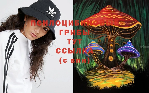 таблы Алзамай