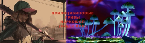 PSILOCYBIN Алексеевка