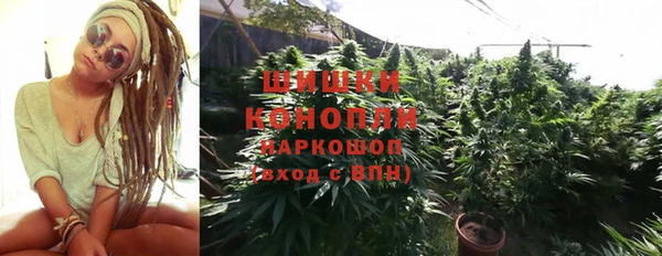 PSILOCYBIN Алексеевка
