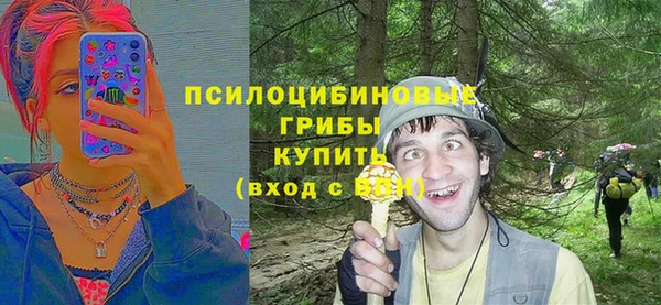 PSILOCYBIN Алексеевка