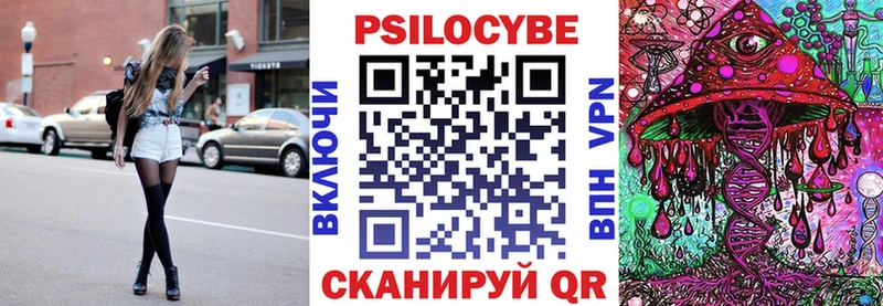 Галлюциногенные грибы Psilocybine cubensis Новоульяновск